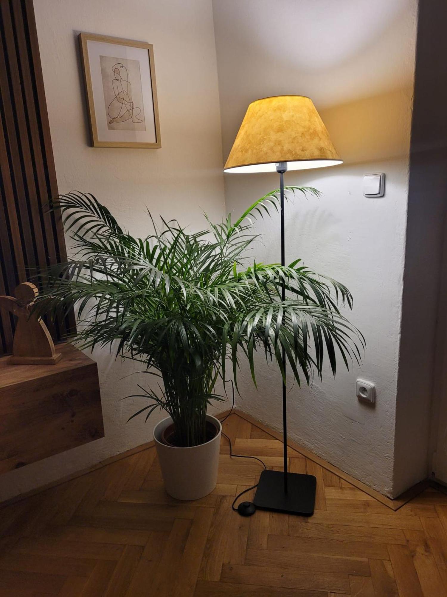 Novy Apartman Eva Jičín Eksteriør bilde